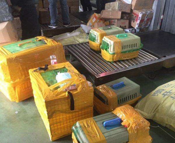 合肥家具航空運(yùn)輸-安徽航馳(推薦商家)-家具航空運(yùn)輸哪家好(圖1)