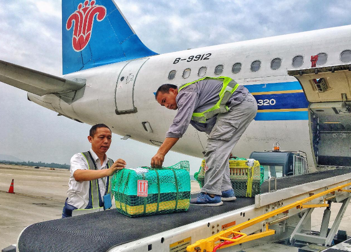航空托運(yùn)包裝(圖1)